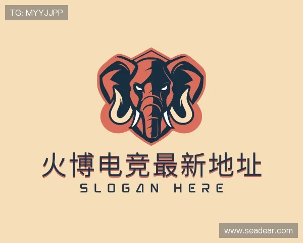 解读火博电竞最新地址